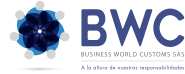 BWC Virtual Academy